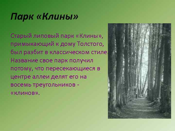 Парк «Клины» Старый липовый парк «Клины» , примыкающий к дому Толстого, был разбит в