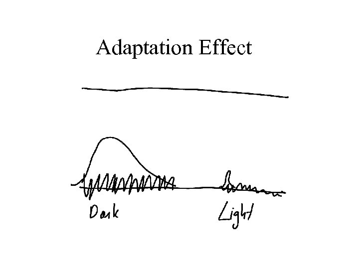 Adaptation Effect 