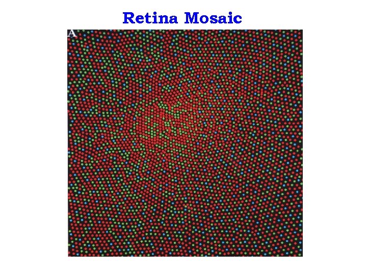 Retina Mosaic 