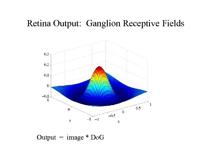 Retina Output: Ganglion Receptive Fields Output = image * Do. G 