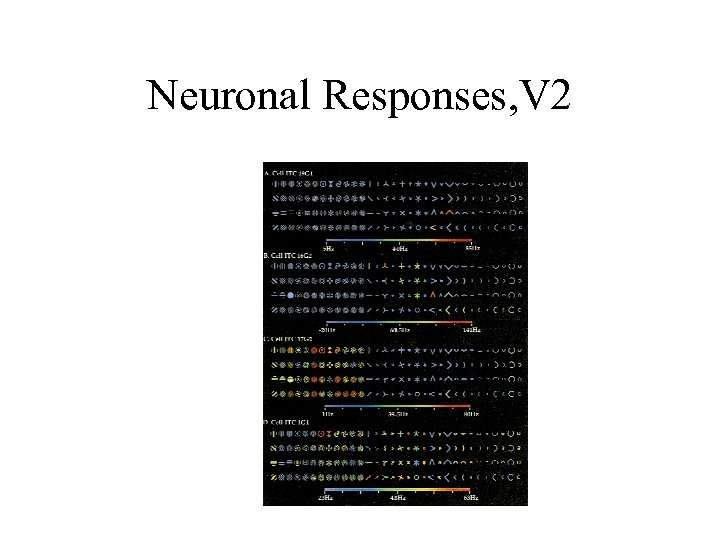 Neuronal Responses, V 2 