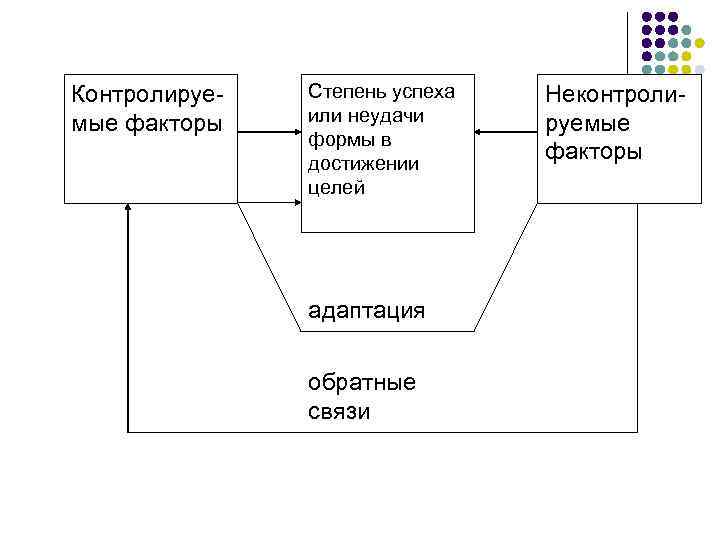 Контролируемые факторы Степень успеха или неудачи формы в достижении целей адаптация обратные связи Неконтролируемые