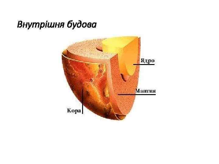 Внутрішня будова 