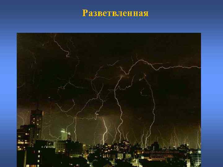 Разветвленная 