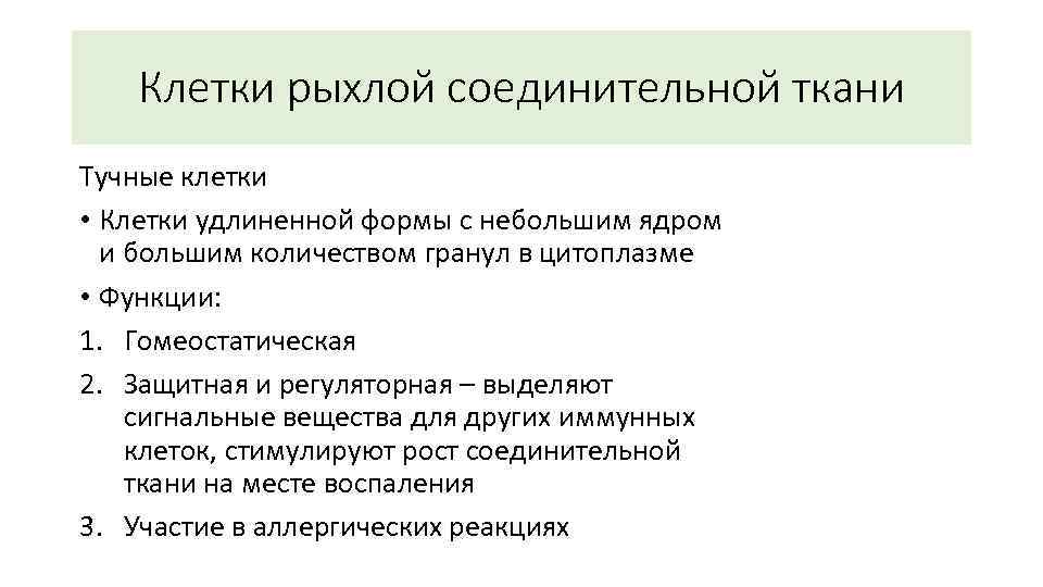 Клетки рыхлой соединительной ткани Тучные клетки • Клетки удлиненной формы с небольшим ядром и