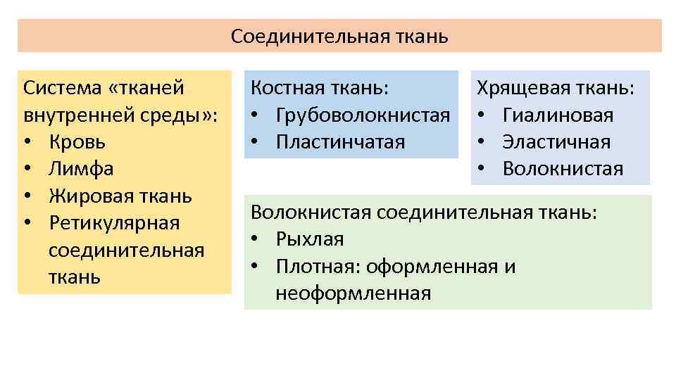 Соединительная ткань Система «тканей внутренней среды» : • Кровь • Лимфа • Жировая ткань