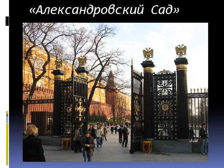  «Александровский Сад» 
