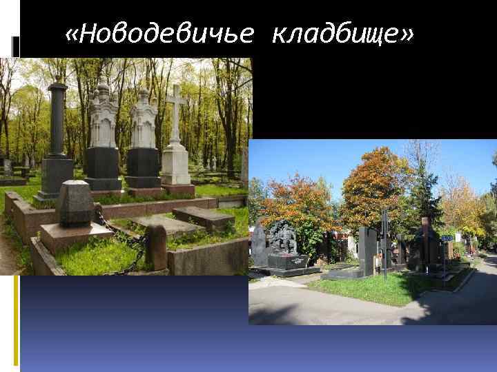  «Новодевичье кладбище» 