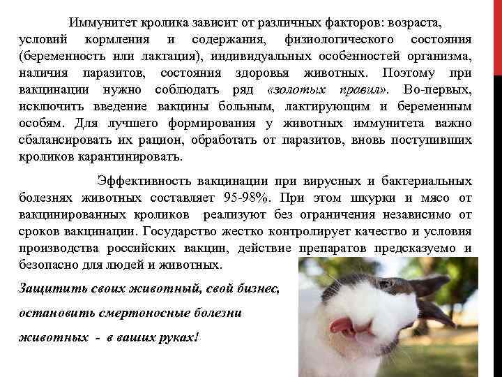 Иммунитет кролика зависит от различных факторов: возраста, условий кормления и содержания, физиологического состояния (беременность
