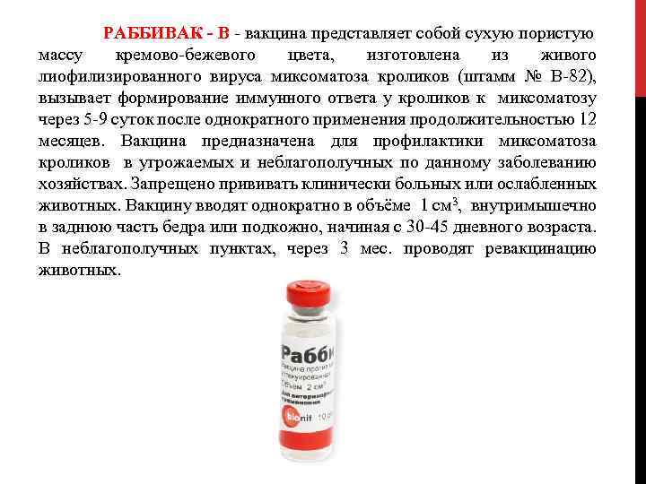 РАББИВАК - В - вакцина представляет собой сухую пористую массу кремово-бежевого цвета, изготовлена из