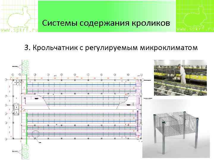 Системы содержания кроликов 3. Крольчатник с регулируемым микроклиматом 