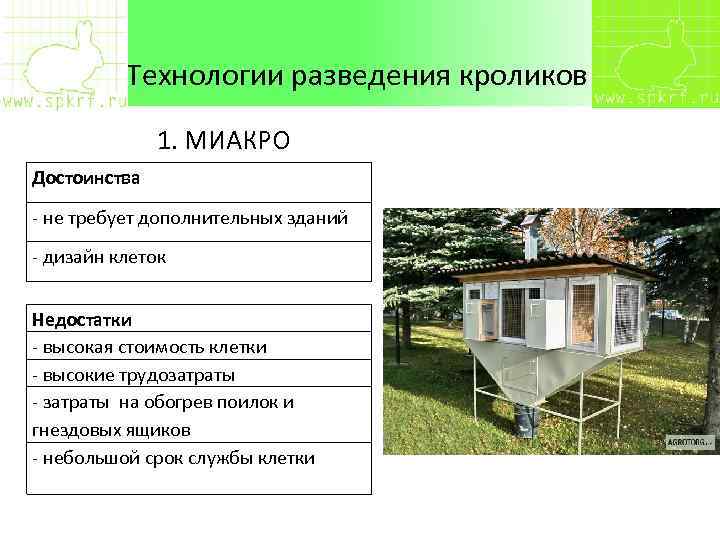 Технологии разведения кроликов 1. МИАКРО Достоинства - не требует дополнительных зданий - дизайн клеток