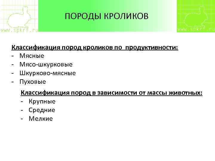 ПОРОДЫ КРОЛИКОВ Классификация пород кроликов по продуктивности: - Мясные - Мясо-шкурковые - Шкурково-мясные -