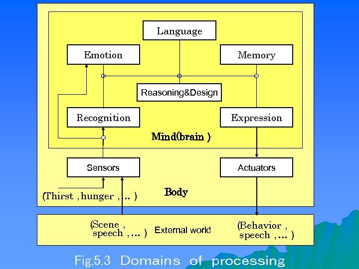 Language Emotion Memory Reasoning&Design Recognition Expression Mind(brain） Sensors （ Thirst， hunger， …） Actuators Body