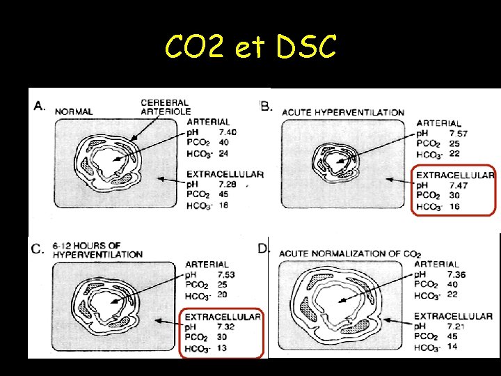 CO 2 et DSC 
