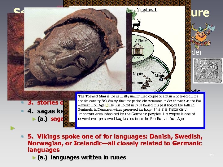 Section Two: describes the culture of the Viking people II. Daily Life ► A.