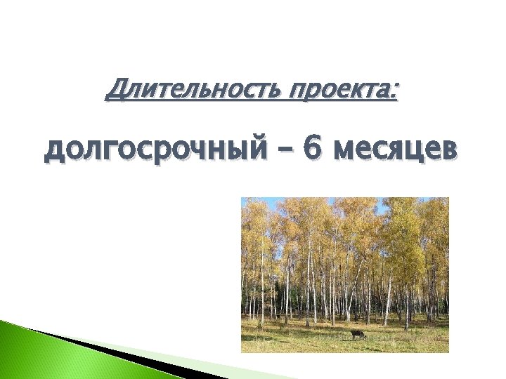 Длительность проекта: долгосрочный – 6 месяцев 