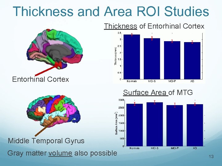 Thickness and Area ROI Studies Thickness of Entorhinal Cortex Surface Area of MTG Middle