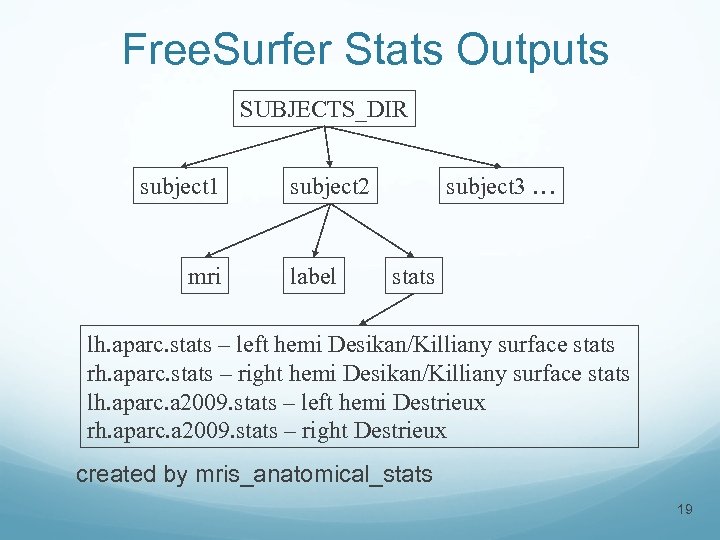 Free. Surfer Stats Outputs SUBJECTS_DIR subject 1 mri subject 2 label subject 3 …