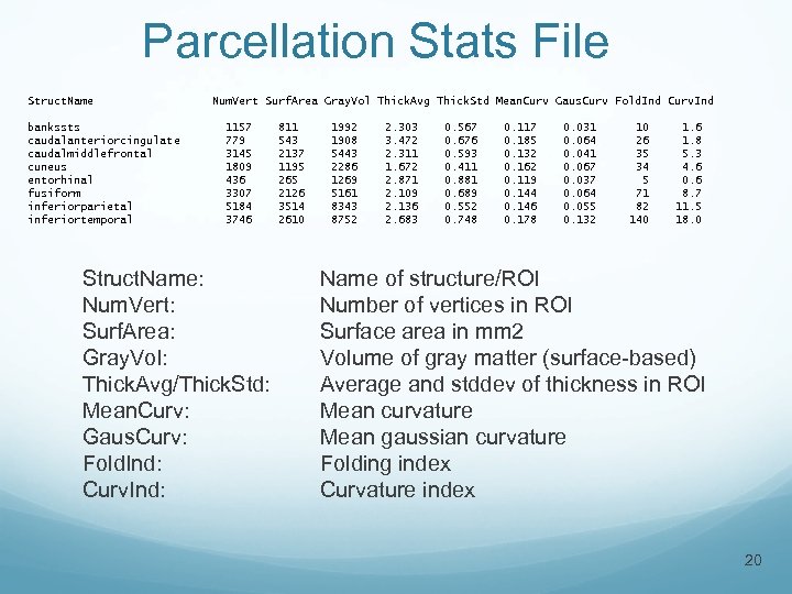 Parcellation Stats File Struct. Name bankssts caudalanteriorcingulate caudalmiddlefrontal cuneus entorhinal fusiform inferiorparietal inferiortemporal Num.