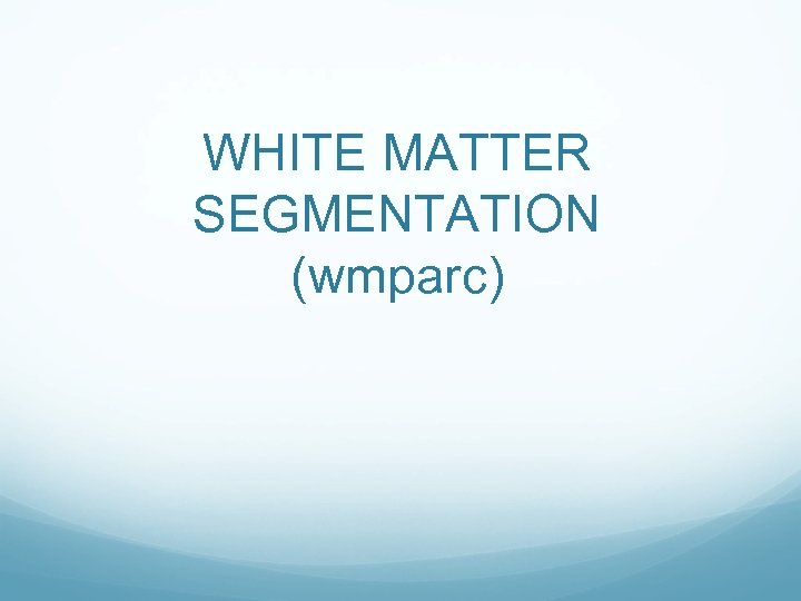 WHITE MATTER SEGMENTATION (wmparc) 