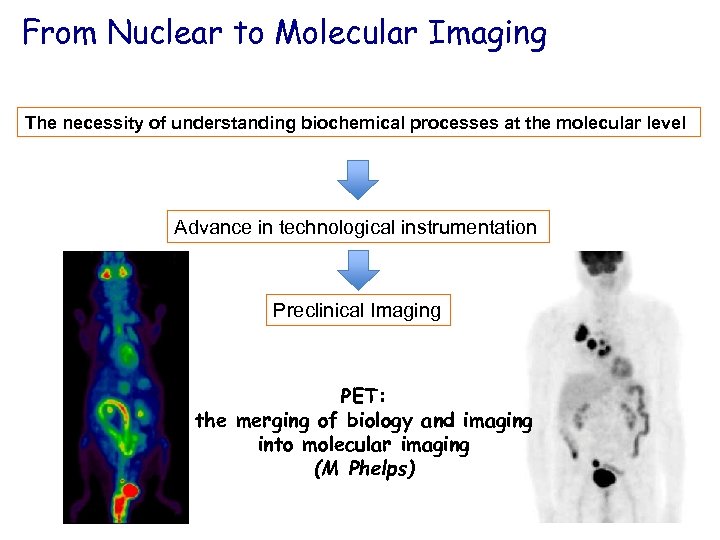 From Nuclear to Molecular Imaging The necessity of understanding biochemical processes at the molecular