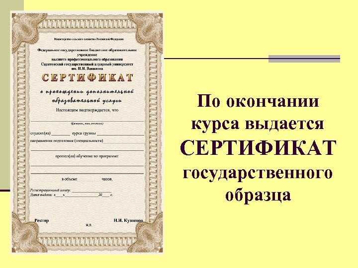 По окончании или. Сертификат государственного образца. Сертификат гос образца. Свидетельство государственного образца. По окончанию курса выдается сертификат.