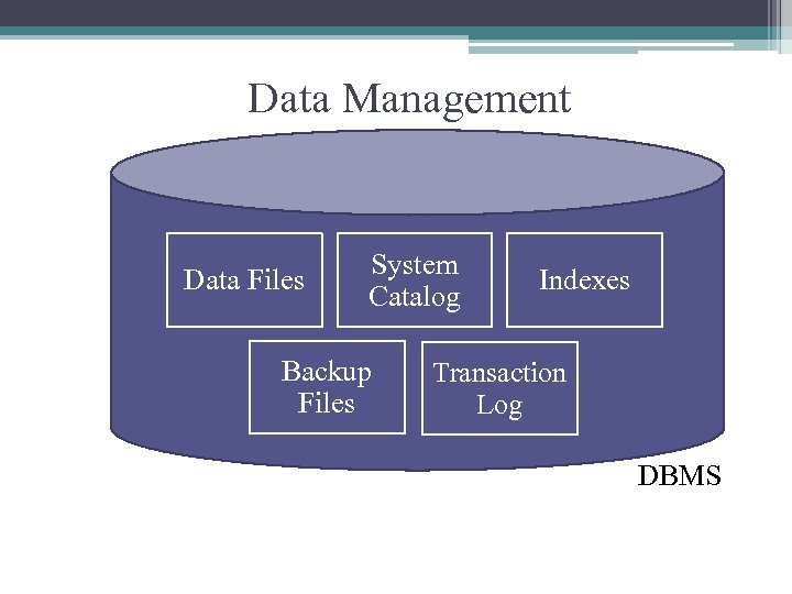 Data Management Data Files System Catalog Backup Files Indexes Transaction Log DBMS 