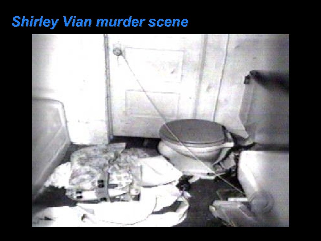 Shirley Vian murder scene 