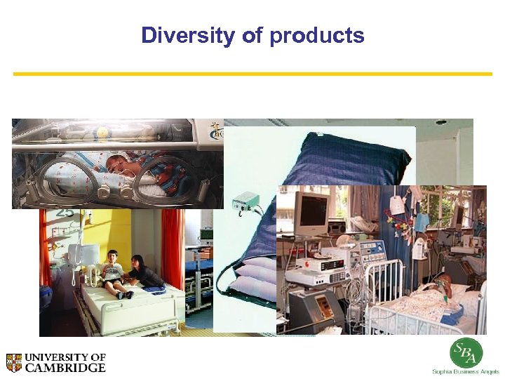 Diversity of products 