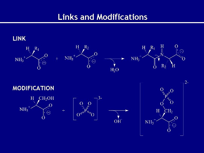 Links and Modifications LINK MODIFICATION 