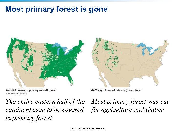 Most primary forest is gone The entire eastern half of the continent used to