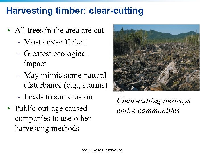 Harvesting timber: clear-cutting • All trees in the area are cut - Most cost-efficient