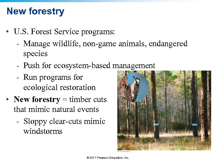 New forestry • U. S. Forest Service programs: - Manage wildlife, non-game animals, endangered