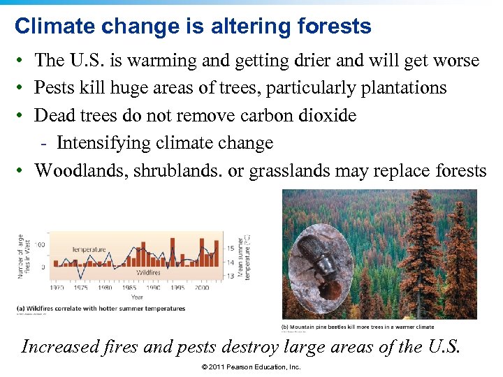 Climate change is altering forests • The U. S. is warming and getting drier