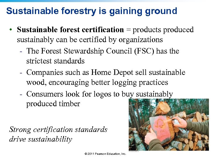 Sustainable forestry is gaining ground • Sustainable forest certification = products produced sustainably can