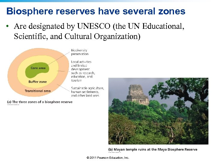 Biosphere reserves have several zones • Are designated by UNESCO (the UN Educational, Scientific,