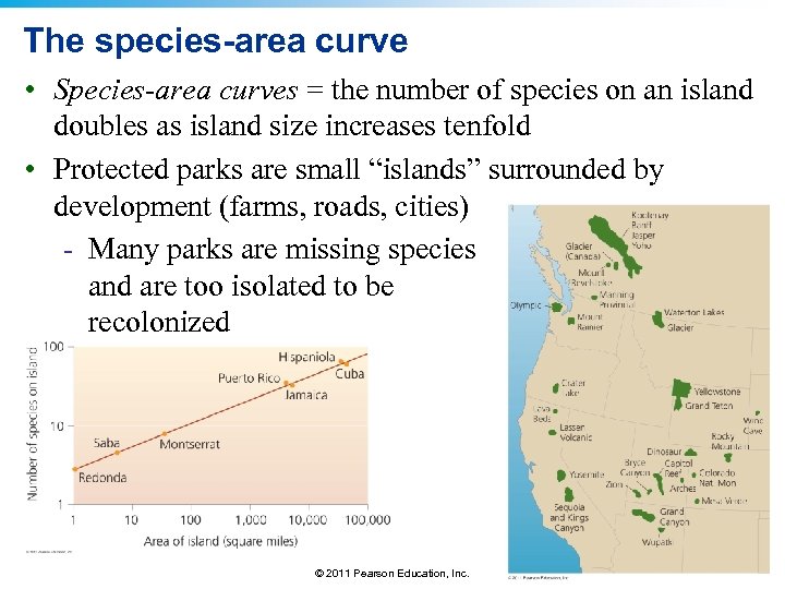 The species-area curve • Species-area curves = the number of species on an island