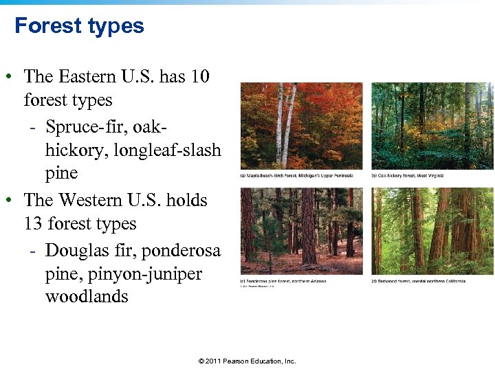 Forest types • The Eastern U. S. has 10 forest types - Spruce-fir, oakhickory,