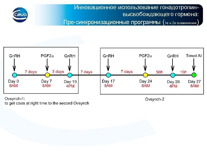 Инновационное использование гонадотропинвысвобождающего гормона: Пре-синхронизационные программы (1 е и 2 е осеменение) 