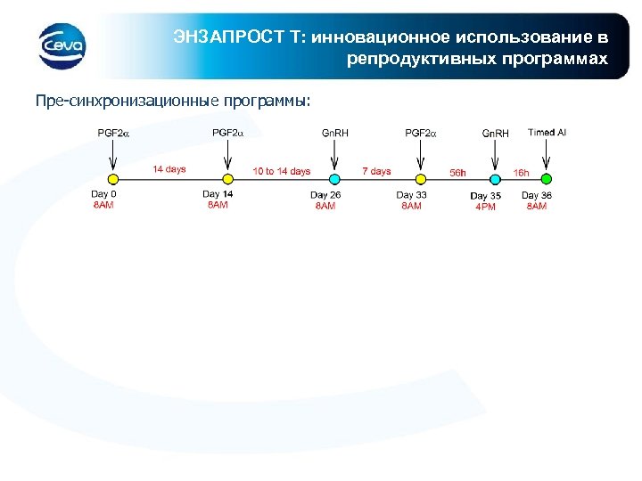 ЭНЗАПРОСТ Т: инновационное использование в репродуктивных программах Пре-синхронизационные программы: 