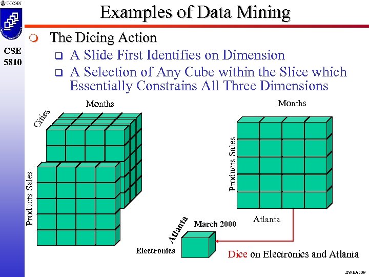 Examples of Data Mining The Dicing Action q A Slide First Identifies on Dimension