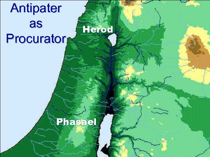 Antipater as Procurator Herod Phasael 