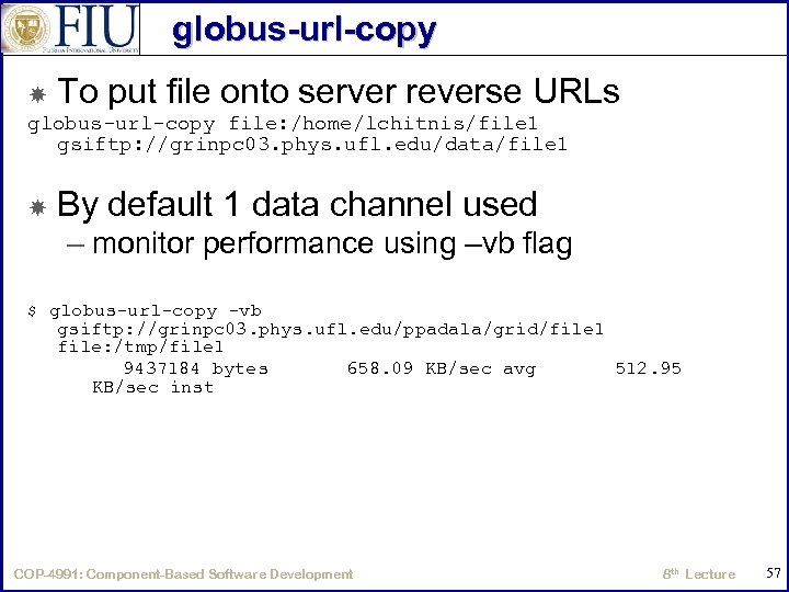 globus-url-copy To put file onto server reverse URLs globus-url-copy file: /home/lchitnis/file 1 gsiftp: //grinpc