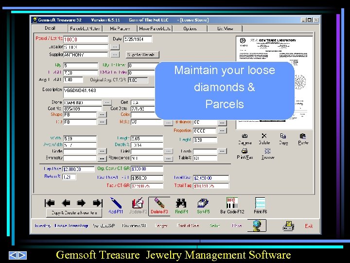 Maintain your loose diamonds & Parcels Gemsoft Treasure Jewelry Management Software 