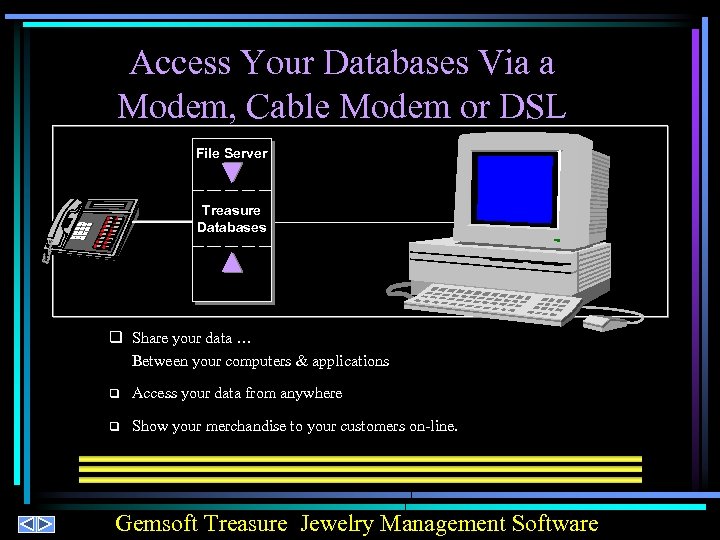 Access Your Databases Via a Modem, Cable Modem or DSL File Server Treasure Databases