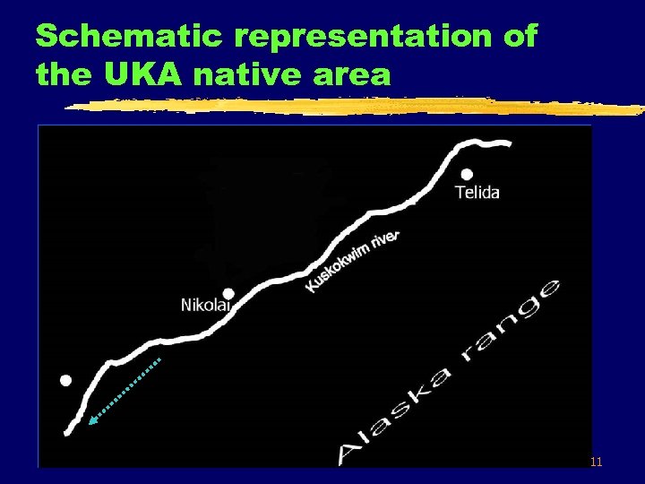 Schematic representation of the UKA native area 11 