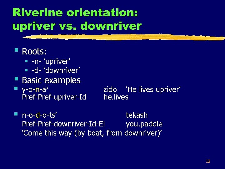 Riverine orientation: upriver vs. downriver § Roots: § -n- ‘upriver’ § -d- ‘downriver’ §