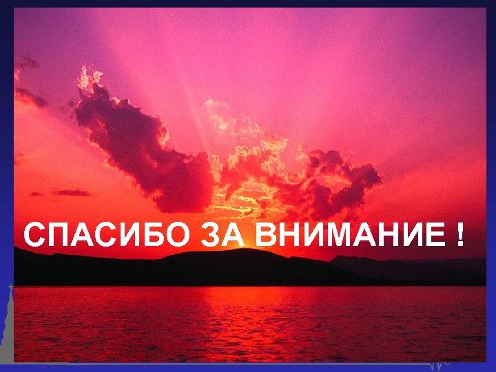 СПАСИБО ЗА ВНИМАНИЕ ! 