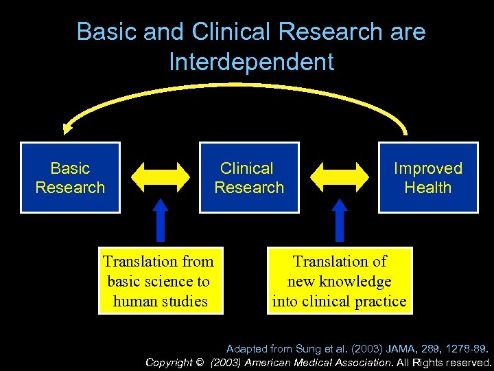 Basic and Clinical Research are Interdependent Basic Research Clinical Research Translation from basic science